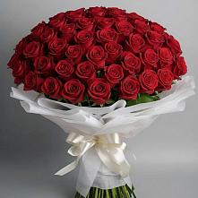 Букет 101 Красная роза Блэк Мэджик в Лёвинцы