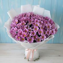 Букет цветов из:  Хризантемы в Лёвинцы