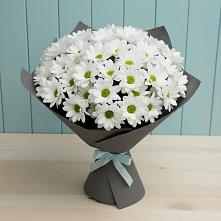 Букет цветов из:  Хризантемы в Лёвинцы