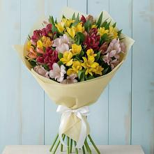 Букет цветов из:  Альстромерии в Лёвинцы