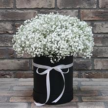 Цветочная композиция из Гипсофила в шляпной коробке в Лёвинцы