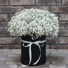 Цветочная композиция из Гипсофила в шляпной коробке в Лёвинцы