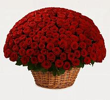 Премиум букет из: Розы #REPLACE_PRED# Лёвинцы