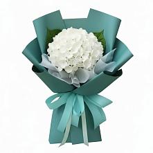 Букет цветов из:  Гортензия в Лёвинцы
